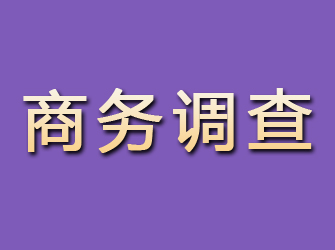 海安商务调查